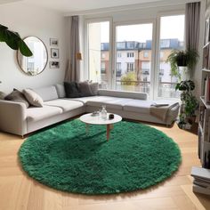 a living room filled with furniture and a green rug