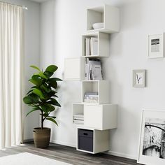 a white and brown book shelf next to a potted plant in a living room