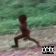 a blurry image of a child running in the grass