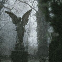 an angel statue in the middle of a cemetery with trees behind it and foggy skies overhead