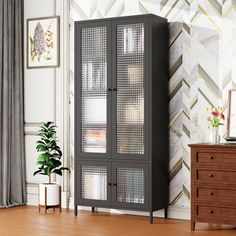 a black cabinet with glass doors in a room next to a dresser and potted plant