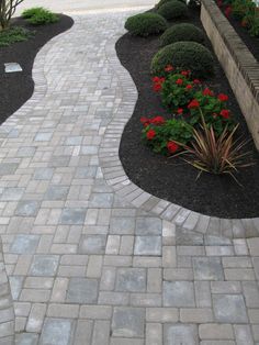 a brick walkway with red flowers and shrubbery