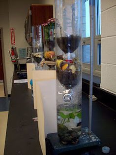 a tall glass vase filled with water and rocks