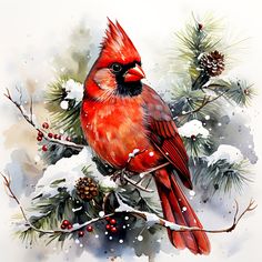 a red bird sitting on top of a tree branch covered in snow and pine cones