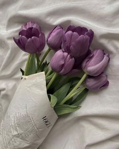 purple tulips are laying on a white sheet