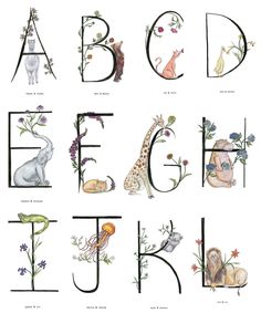 an alphabet with animals and flowers on it