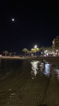 the beach is lit up at night with palm trees in the foreground and buildings on the other side