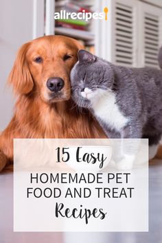 a dog and cat with the title 15 easy homemade pet food and treat recipes