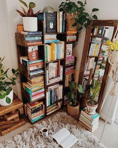 a bookshelf filled with lots of books next to a mirror and potted plants