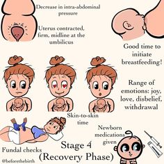 the stages of breasting and how to use it for her baby's birth