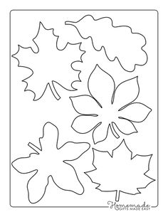 the leaves are cut out to make an autumn leaf crafting pattern for kids and adults