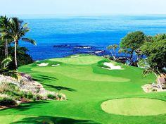 a golf course overlooking the ocean with palm trees