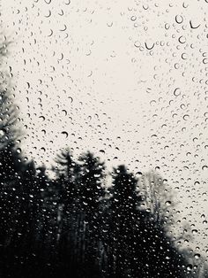 rain drops on the window with trees in the background