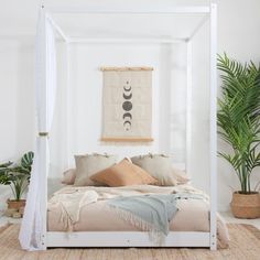 a white canopy bed sitting in a bedroom next to a potted plant and rug