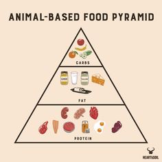 Animal Based Diet Food List, Animal Based Diet Recipes, Health Moodboard, Carnivore Lifestyle, Carnivore Meals