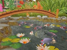 an animated pond with fish and lily pads