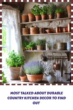 a kitchen with potted plants and pots on the shelf next to it is an advertisement for country kitchen decor