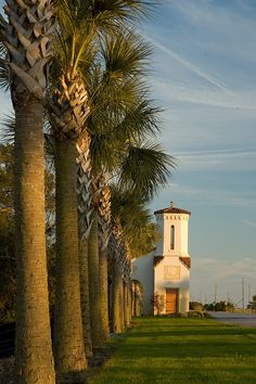 palm trees line the street in front of a white building with a clock tower on it