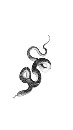 a black and white drawing of a snake