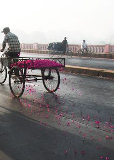 a man riding a bike with pink flowers on the front and rear wheels in the street