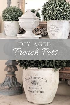 some potted plants sitting on top of a table with the words diy aged french pots