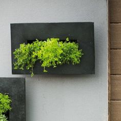 two black square planters mounted to the side of a wall with green plants growing in them