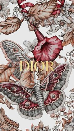 the cover of dior's new book, with an image of moths and flowers