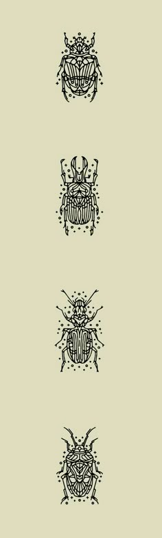 four bugs are shown in black and white on a light gray background, each with different patterns