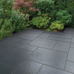 an outdoor patio surrounded by greenery and shrubbery