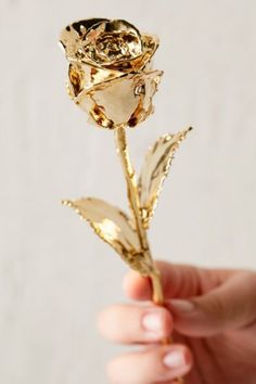 a person holding a gold colored rose in their hand