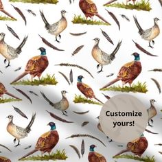 a white background with colorful birds and feathers on it, the words customize your