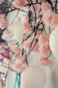 pink flowers are hanging from the branches of a tree in front of a white wall