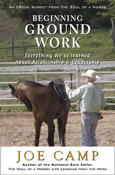 a man standing next to a brown horse on top of a dirt field with the title beginning ground work everything we learned about relationship