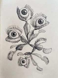 a drawing of an eye plant with leaves and flowers