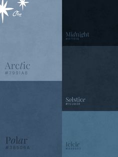 The perfect night sky, snowy forest, winter blues color palette for all of your holiday designs.   Polar #38506A Solstice #1C2B38 Arctic #7991A8 Icicle #446983 Midnight #071018 Winter Dark Color Palette, Winter Night Color Palette, Night Blue Color Palette, Snowy Color Palette, Winter Blue Color Palette, Winter Pallet Color, Blue Christmas Color Palette, Night Sky Color Palette, Midnight Blue Color Palette