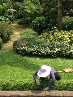 a woman in a white hat is working on the grass