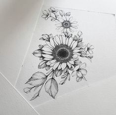 an ink drawing of a sunflower with leaves on it's back and bottom