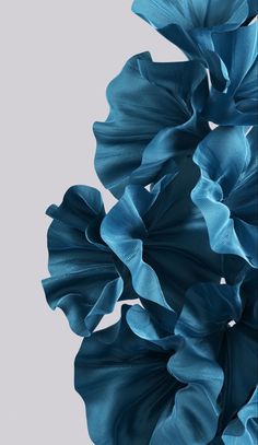 some very pretty blue flowers on a gray background