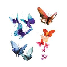 four different colored butterflies flying in the air with watercolor paint on them, and one is