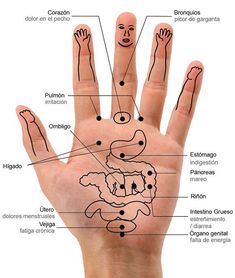 La BRUJA CIRCE Esta técnica es muy antigua y hay varias escuela que la utilizan, es personal y cómoda consiste en presiones y masajes en los puntos energéticos de la mano, aplicable sobre todo cuando estamos en una situación en la que no podemos movernos durante el trabajo o incluso en reun Body Reflexology, Massage Therapy Techniques, Yoga Mantras, Acupressure Points, Traditional Chinese Medicine, Reflexology, Acupressure
