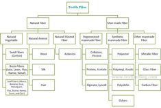 a family tree is shown with all the names and numbers in each section on it