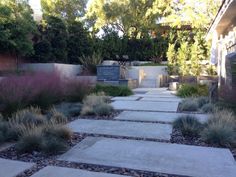 a stone path in the middle of a garden