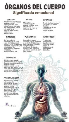 Alternative Medicine Holistic Healing, Yoga Teacher Resources, Magia Das Ervas, Tips To Be Happy, Yoga Mantras, Holistic Therapies, Medical Anatomy, Health Habits