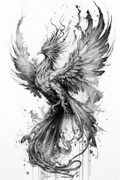 a black and white drawing of a bird with splashes on it's wings