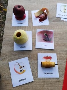 apples, pears, and other fruits are arranged on paper with words in them