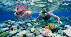 two people snorkeling over a coral reef