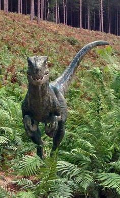 a large dinosaur standing on its hind legs in the middle of some ferns and trees