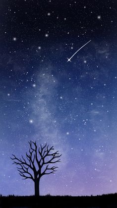 the night sky with stars and a tree silhouetted against it