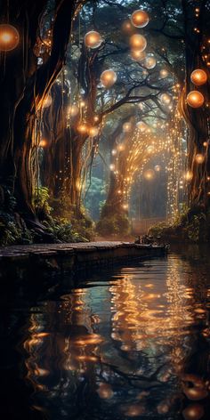 a river surrounded by trees with lights hanging from them