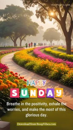 the words happy sunday written in colorful letters on a path surrounded by flowers and trees